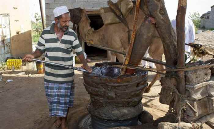 معاصر السمسم التقليدية في اليمن تهزم الحرب والتكنولوجيا