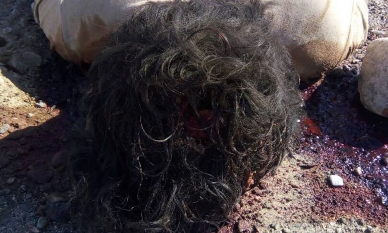 العثور على جثة قتيل بمنطقة صحراوية بابين