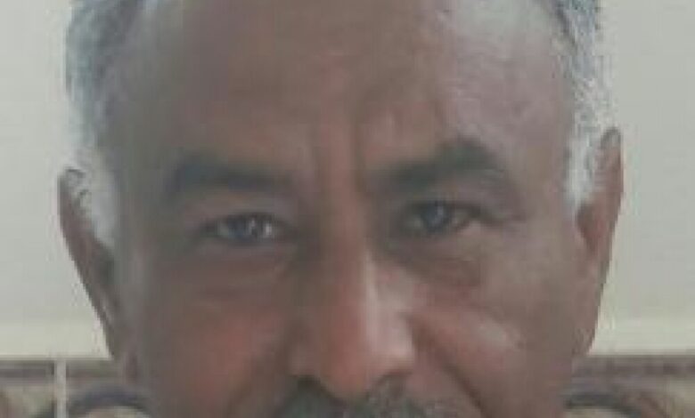سر حبي في عدن