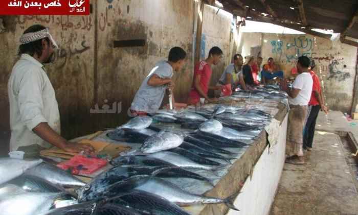 قصة من عدن : مضرابة شباب وربع كيلو ثمد