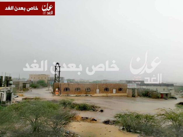 هطول أمطار غزيرة على مدينة العين